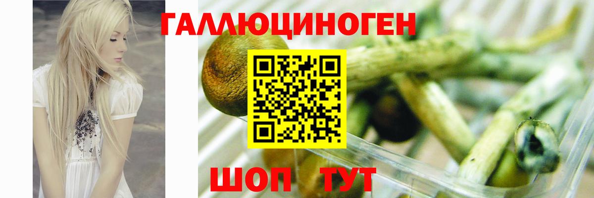 Стрежевой  Галлюциногенные грибы Psilocybe  закладки  Вход с VPN  Псилоцибиновые грибы мухоморы 