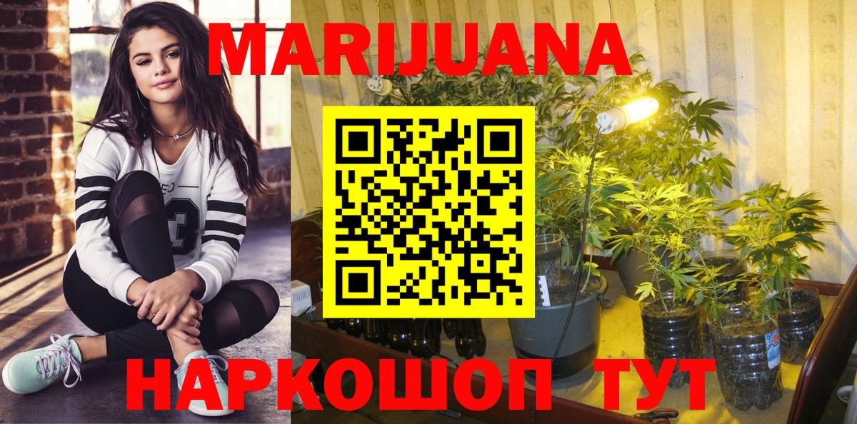 Шишки марихуана гибрид Стрежевой